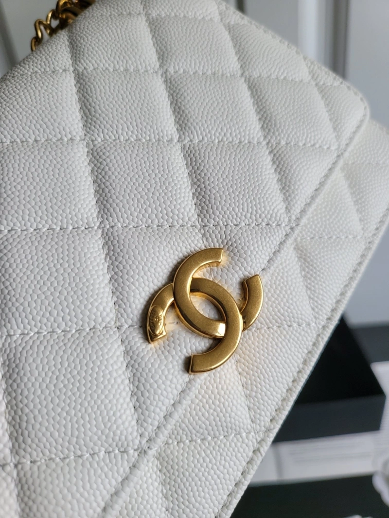 Ch**el 19 bags 4017-0747