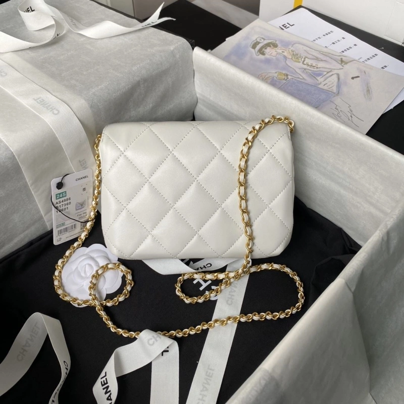 Ch**el 19 bags 4017-0845