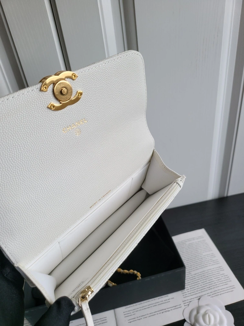 Ch**el 19 bags 4017-1106