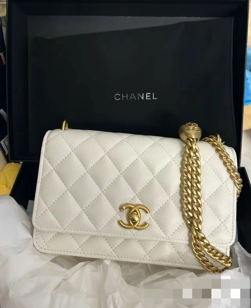 Ch**el woc bags 4017-1109