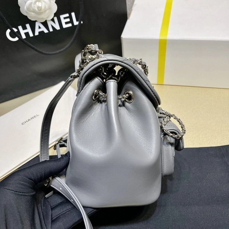 Ch**el backpacks 4017-1620