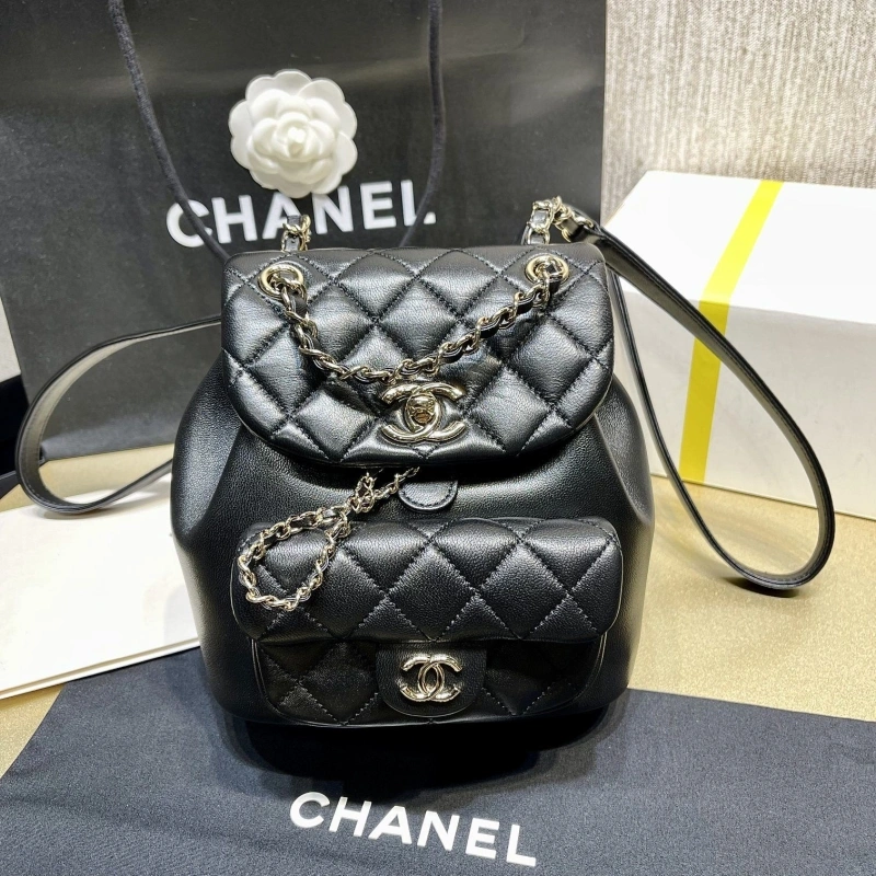 Ch**el backpacks 4017-1622