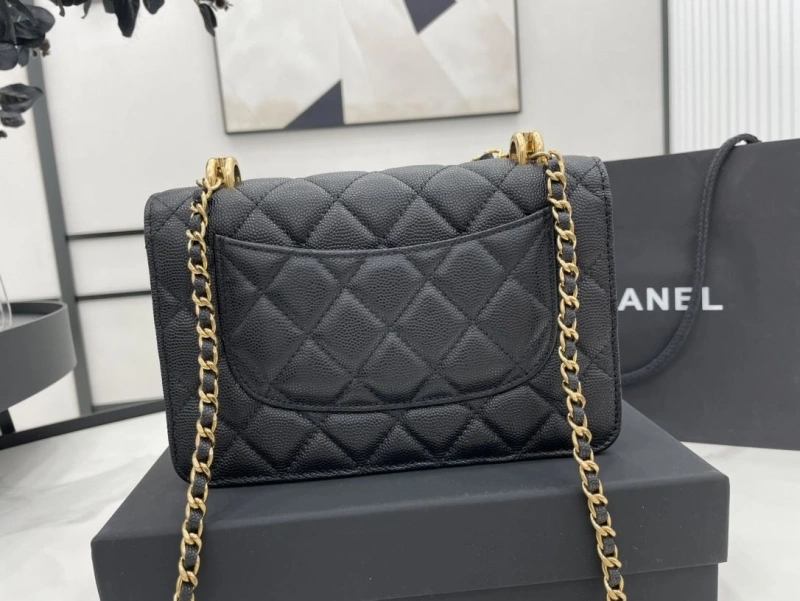 Ch**el 19 bags 4017-1963