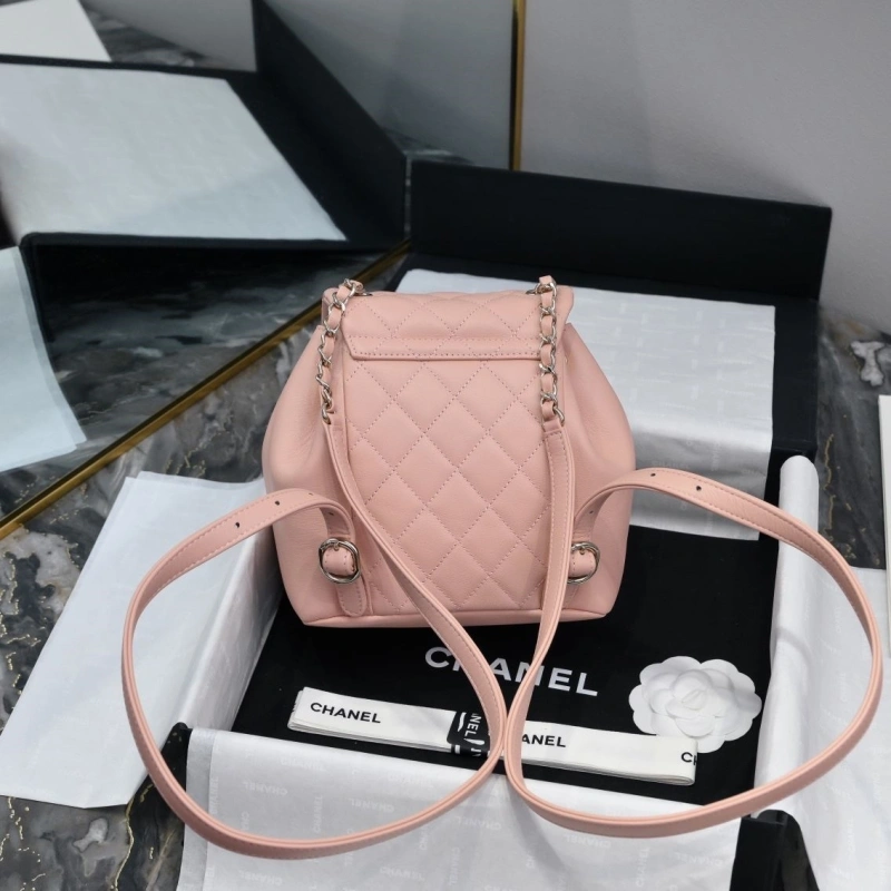 Ch**el backpacks 4017-2245