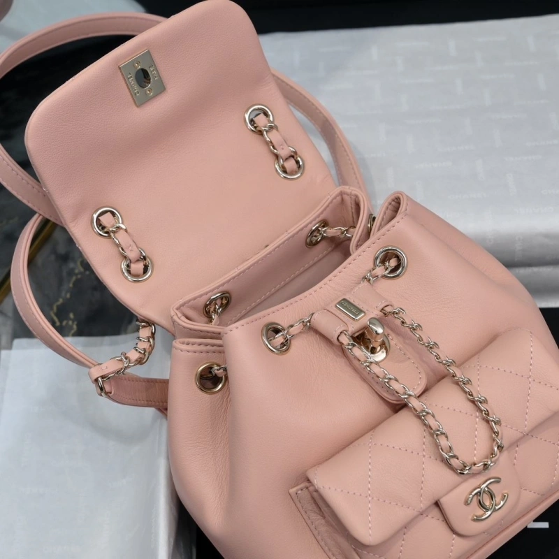 Ch**el backpacks 4017-2245