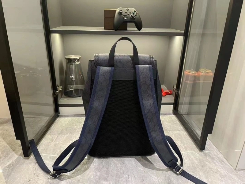 Gvc*1 backpacks 4032-0798