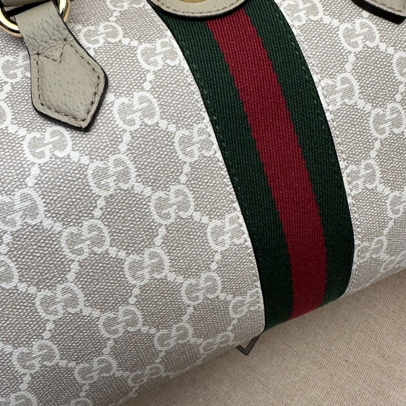 Gvc*1 speedy bags 4036b-0738