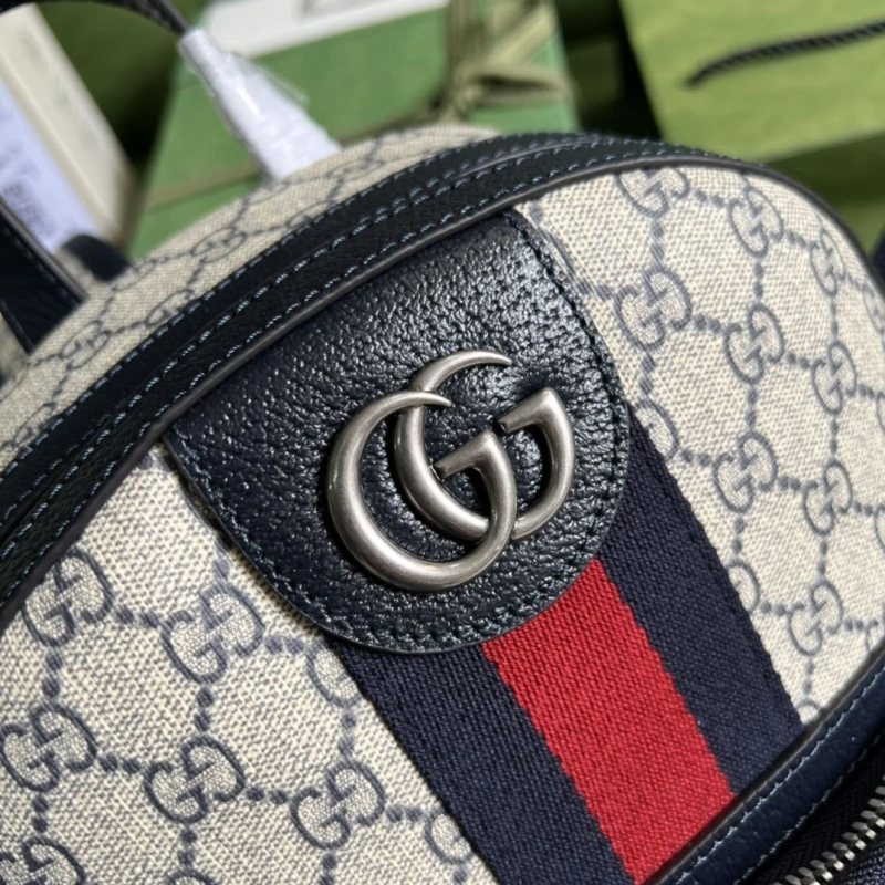 Gvc*1 backpacks 4094-0422