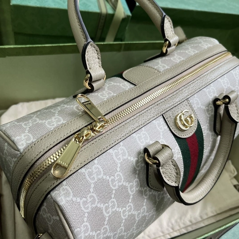 Gvc*1 speedy bags 4094b-0164