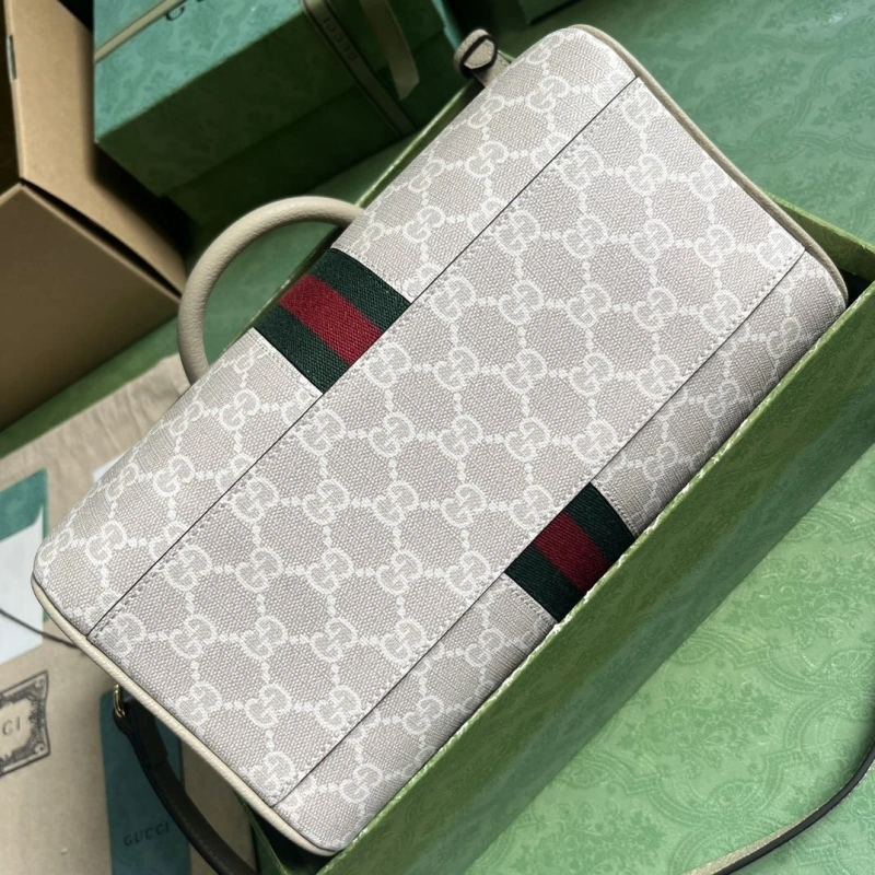 Gvc*1 speedy bags 4094b-0167