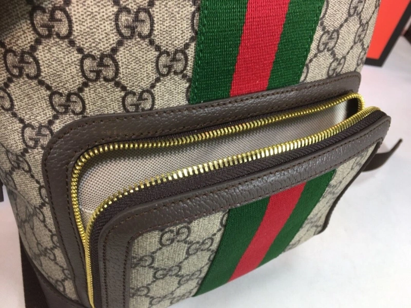 Gvc*1 backpacks 4186-0589