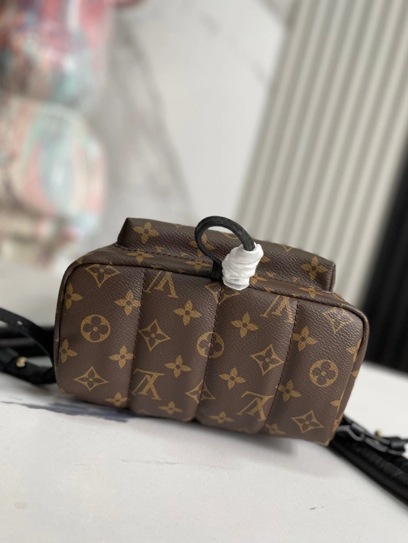 LV Backpacks 4233G-0815